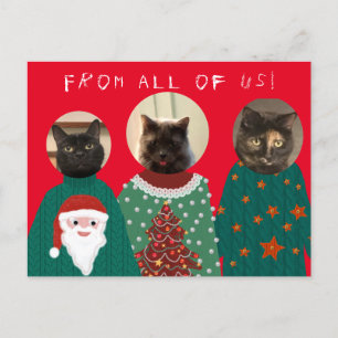 Ihre 3 Katzen in Ugly Christmas Sweaters Postcard Postkarte