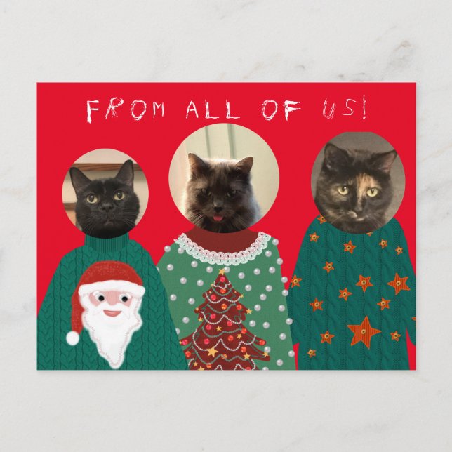 Ihre 3 Katzen in Ugly Christmas Sweaters Postcard Postkarte (Vorderseite)