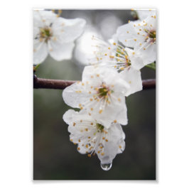 Ihre benutzerdefinierte 12" x 16" Foto-Erweiterung Fotodruck