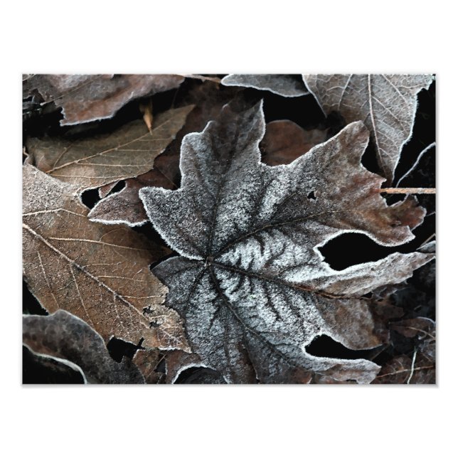 Ihre benutzerdefinierte 16" x 12" Foto-Erweiterung Fotodruck (Vorne)