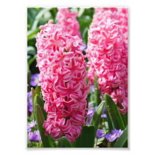 Ihre benutzerdefinierte 5" x 7" Foto-Erweiterung Fotodruck