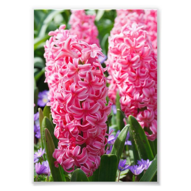 Ihre benutzerdefinierte 5" x 7" Foto-Erweiterung Fotodruck (Vorne)