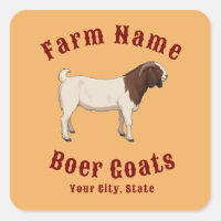 Ihre Farm Boer-Ziegen