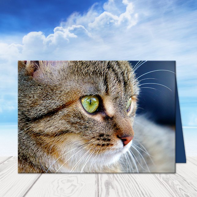Ihre Foto Cat Condolences Beileid Grußkarte Karte (A beautiful cat sympathy card featuring your own photo (optional) with custom comforting texts)