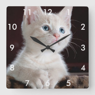 Ihre Foto-kundenspezifische quadratische Uhr mit