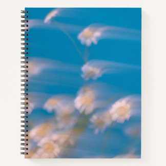 Ihre Gedanken und Ziele inspiriert Notizbuch