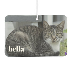 Ihre Katzen- und Heimfotovorlage Autolufterfrischer