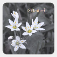 Ihre Name-Wildblume Cluster Makro-Foto-Sticker