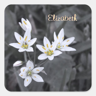 Ihre Name-Wildblume Cluster Makro-Foto-Sticker Quadratischer Aufkleber