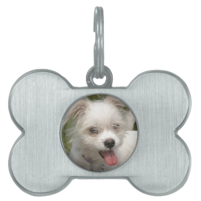 IHRE Pet-Image-Hundemarke Tiermarke (Vorderseite)