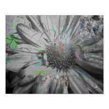 "Ihre tägliche Blume" 8 x 10 Poster oder Download