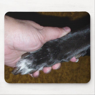 Ihre Tatze in meiner Hand ...... Mousepad