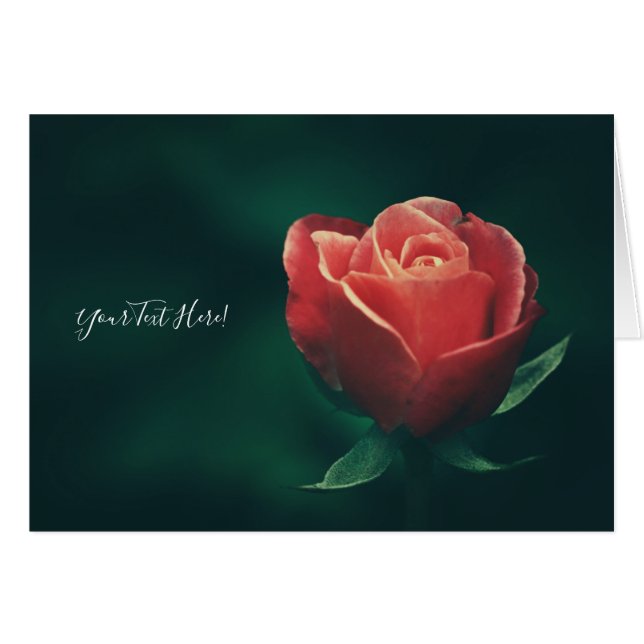 Ihre Text-Gorgee-Rote Rose-Blume Grußkarte (Vorderseite (Horizontal))