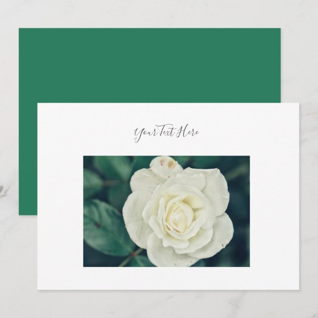Ihre Text-herrliche White Rose Blume Einladung (Vorne/Hinten)