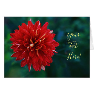 Ihre Text Prächtige rote Dahlien-Blumen-Grußkarte