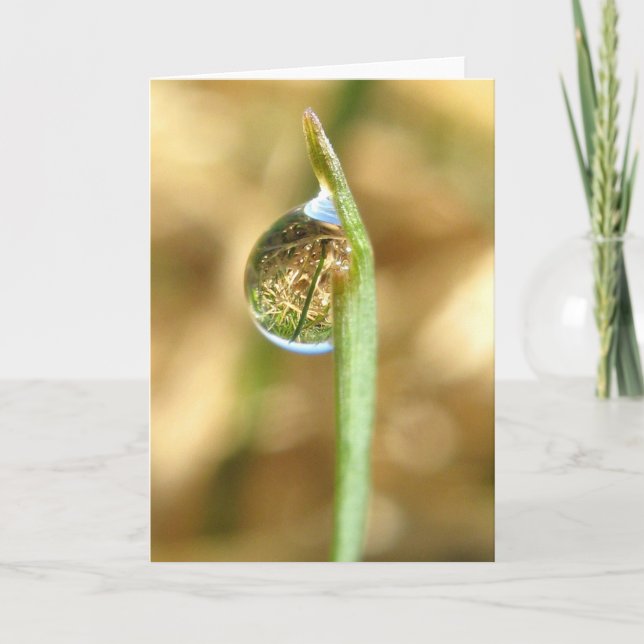 Ihre Welt gedrehte umgedrehte Karte (Vorderseite)