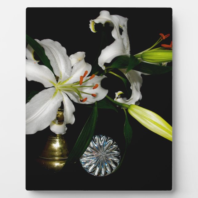 Iirsh Design - Sammlung von Messing und Blume Fotoplatte (Vorderseite)