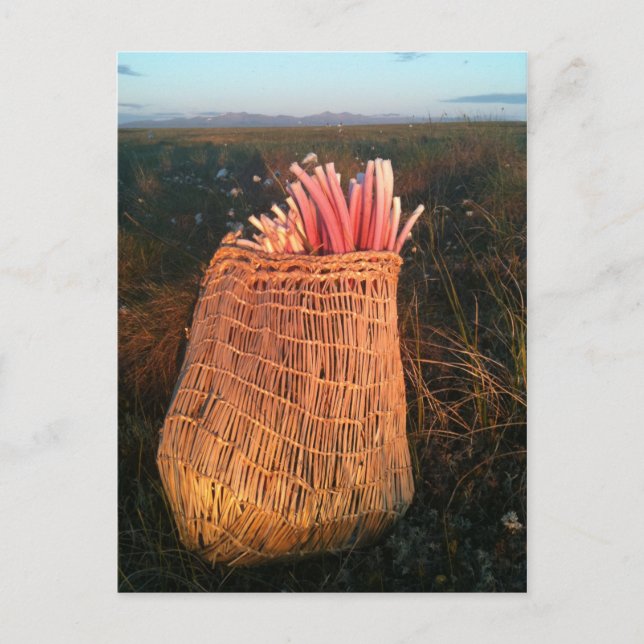 Iitat Postkarte (Vorderseite)