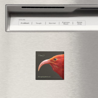Iiwi Hawaiian Honeycreeper Magnet