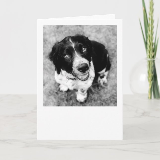 Ike Smiles Card Karte (Vorderseite)