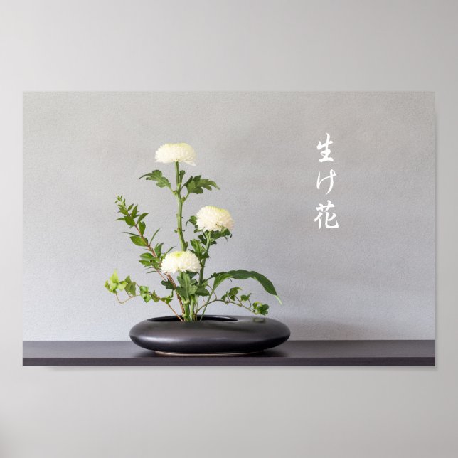 Ikebana Poster (Vorne)