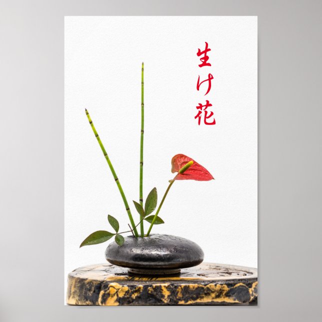 Ikebana Poster (Vorne)