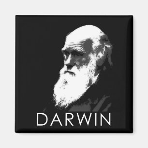 Ikonen der Wissenschaft: Darwin Magnet