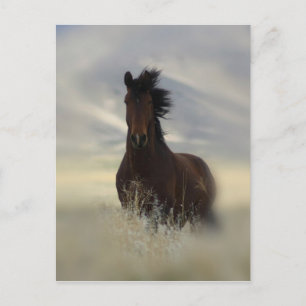Ikonische Postkarte
