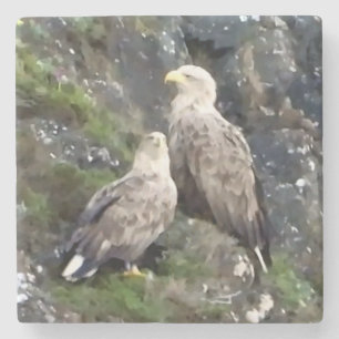 Ikonisches schottisches Hochland-Weißschwanzadler- Steinuntersetzer