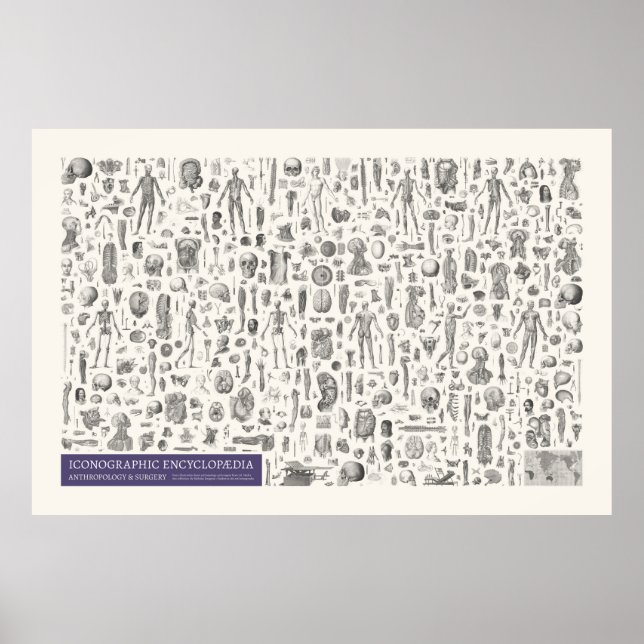 Ikonographie - Anthropologie und Operation Poster (Vorne)