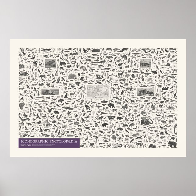 Ikonographie - Zoologische Zahlen Poster (Vorne)