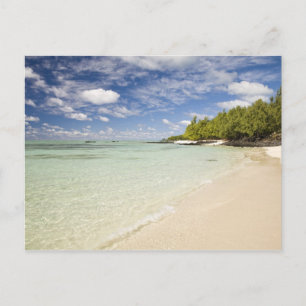 Ile Aux Cerf, beliebtester Tagesausflug für 2 Postkarte