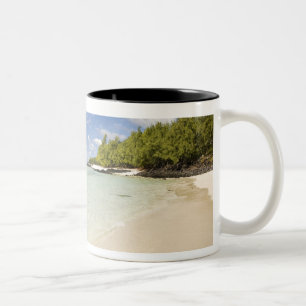 Ile Aux Cerf, der beliebteste Tagesausflug für 2 Zweifarbige Tasse
