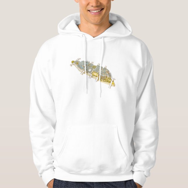 Ile-De-La-Zitieren Sie. Paris Frankreich Hoodie (Vorderseite)