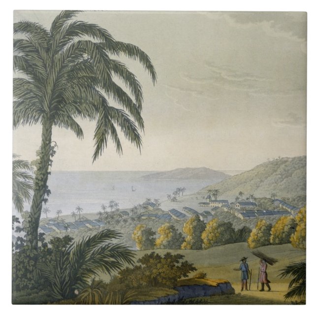 Ilheus (Farbstich) Fliese (Vorderseite)