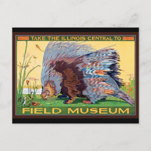 Illinois Central zum Field Museum Stachelschwein Postkarte