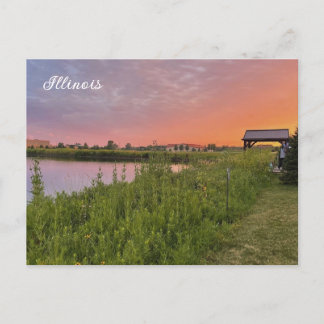 Illinois Field Postcard Postkarte