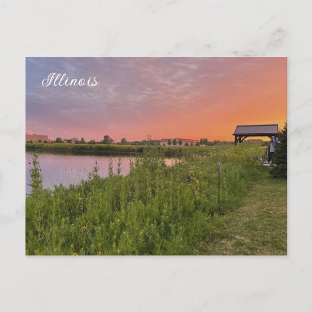 Illinois Field Postcard Postkarte (Vorderseite)