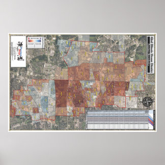 Illinois House District - 2008 General Poster