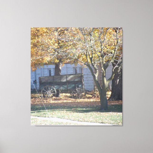 Illinois lebt leinwanddruck (Vorderseite)