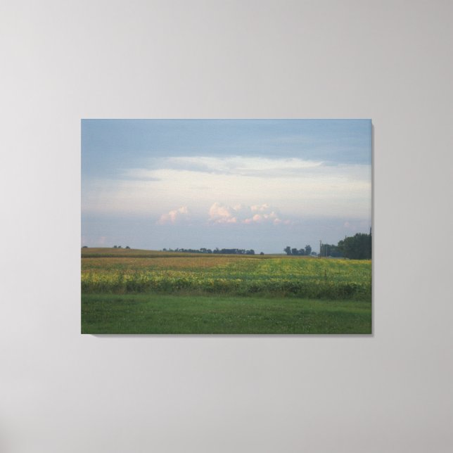 Illinois lebt leinwanddruck (Vorderseite)