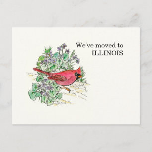 Illinois Postkarte