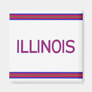 Illinois Square Magnet