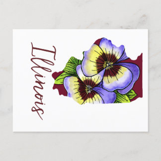 Illinois Staat Blume Postkarte