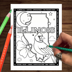 Illinois Staat Fakten Farbseite Flyer