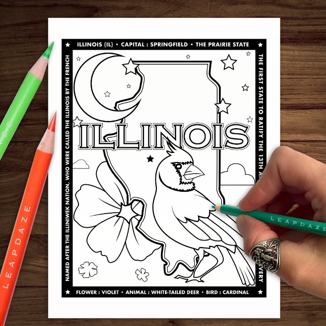 Illinois Staat Fakten Farbseite Flyer (Von Creator hochgeladen)