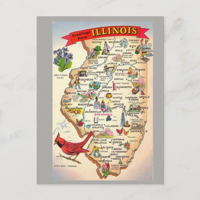 Illinois Staat Map Postkarte (Vorderseite)