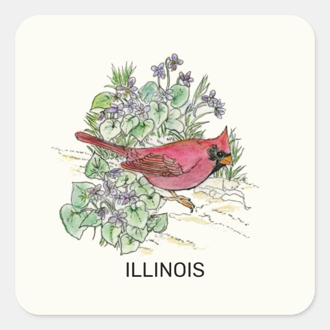 Illinois Staat Vogel und Blume Quadratischer Aufkleber (Vorderseite)