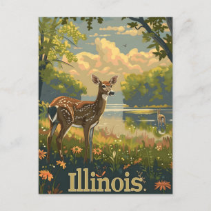 Illinois Weißschwanzhirsche Postkarte
