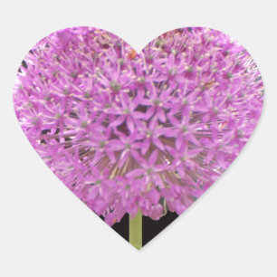 Illium Summer Spring Blume - Irish Design Herz-Aufkleber